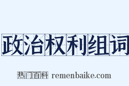 政治权利组词是什么意思的图片